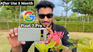 Google Pixel 7 Pro Camera Test | After Use 5 Month |Pixel 7 Pro Camera