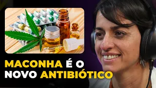 POR QUE O BRASIL NÃO LEGALIZA A MACONHA? | PODCAST do MHM