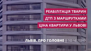 Ціни на квартири у Львові, ДТП з маршрутками, реабілітація тварин | Львів. Про головне за 10 червня