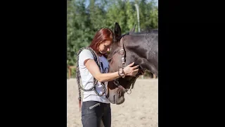 Wie man das Vertrauen eines Pferdes gewinnt (Beispiel: Shire Horse)