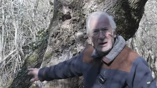 Propriétaire forestier sur la Sainte Baume en Provence