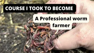 How to become a professional worm farmer. The course I took taught by a pro.￼
