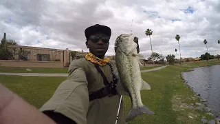 This AWESOME Little Swimbait Gets Bit! Baby Bull Shad!