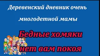 У лельки  громадье планов на новый год  .Не расслабляемся !!!