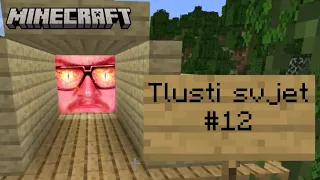 NERVY U STAVĚNÍ STŘECHY | Minecraft Tlusti svjet #12