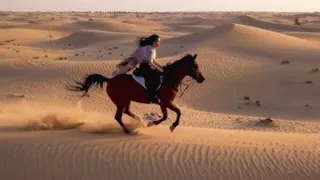 Riding Horses in Dubai's Desert
