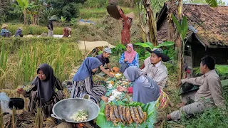 Nikmatnya Hidup di Desa, Masak Nikmat di Tengah Sawah, Botram Dadakan Masakan Kampung