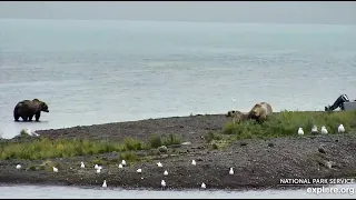 17 Sep 2020: 610 Watches 435 and Her Cub