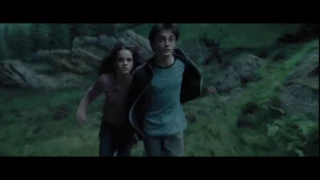 Harry Potter and the Prisoner of Azkaban // Whomping Willow Attack