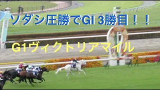 【現地レース映像】ソダシ圧勝！！G1ヴィクトリアマイル 吉田隼人 東京競馬場 2022/05/15 Horse racing in Japan Japanese racehorse
