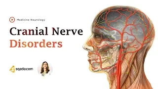 Cranial Nerve Disorders | Neurology Video Lectures | Medical Student | V-Learning