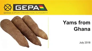 sector profile yams from ghana