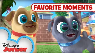 Puppy Playcare Part 2! 🐾 Compilation | Puppy Dog Pals | Disney Junior