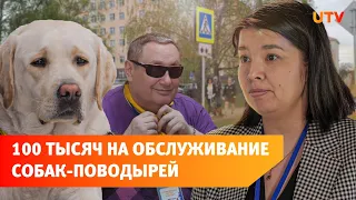 С какими проблемами сталкиваются владельцы собак-поводырей?