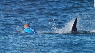 Shark attack champion surfer Mick Fanning in South Africa [NEW]