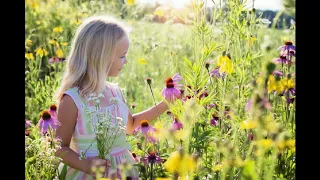 Цветы на лугу  Расслабляющая Спокойная Музыка и Звуки природы