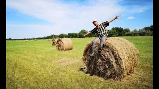 Летаю в поисках съедобных зонтиков - как их приготовить