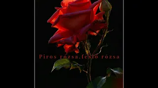 Palatinus Ervin - Piros rózsa,feslő rózsa