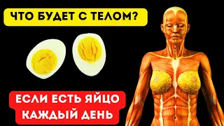 ЧТО творят ЯЙЦА с ТЕЛОМ, даже 2 шт. в ДЕНЬ ?