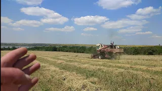 Нарешті дійшла черга і до ячміня після пшениці 🌾