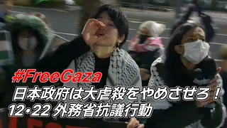 Public protest to the Ministry of Foreign Affairs of Japan. Work for an Israeli ceasefire! Dec 22