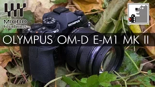 OLYMPUS OM-D E-M1 MK II  |  Мнение Топтыгина