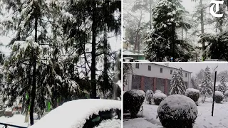 Kasauli, Solan, Barog, Dagshai get season’s first snow