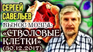 «ВЫНОС МОЗГА #25»: «Стволовые клетки». 30.12.2017. Савельев С.В.