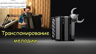 Как играть во всех тональностях на баяне? Базовая задача для концертмейстеров. Викинг научит! Часть1