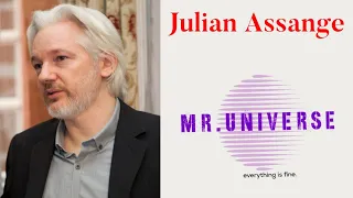 julian Assange ( free Assange )