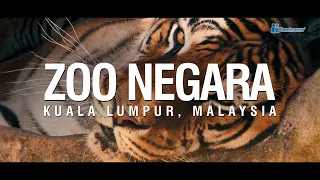 ZOO NEGARA 🇲🇾 [4K]