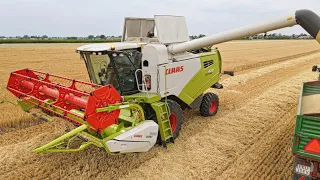 🔥ŻNIWA 2023 Z CLAAS"Ą🔥JĘCZMIEŃ OZIMY🔥9T/HA🔥JOHNDEERE & CLAAS🔥