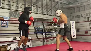 Boxing sparring (sparring wars )