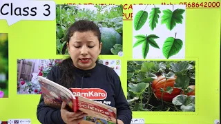Parts of a Plant | Chapter- 2 | Science for Class 3 students | CBSE Pattern | Part 2