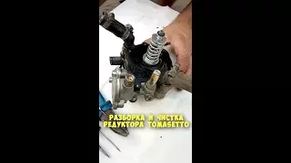 Разборка и чистка редуктора Tomasetto Ат 09