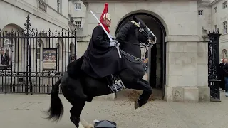 100 PLUS CYCLISTS GOING BY FREAKS OUT THE KINGS GUARDS HORSE #horseguardsparade