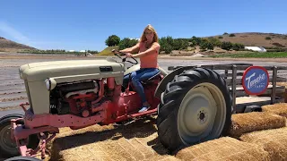 Fresh Food and Family Fun at Tanaka Farms | California Live | NBCLA