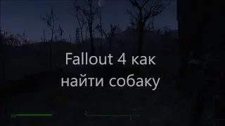 fallout 4 как найти собаку если она потерялась.