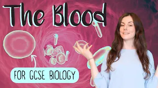 THE BLOOD GCSE Biology 9-1 | Combined Sci (Revision & Questions)