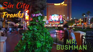 Mr. Bushman Prank 🎩🌹🎩 Most Epic Reactions 🎭 Only in Las Vegas 🎭 April 8th 2022Hotel Palazzo & Wynn