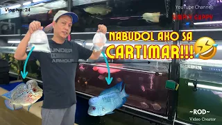 Cartimar Budol Day 😁| Buying Quality Flowerhorns | Vlog 24