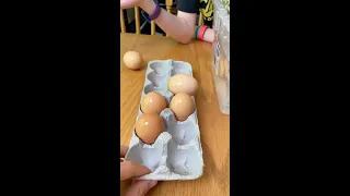 Can't Make an Omelette Without Cracking some Eggs 🤣