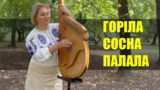 Дуже Гарна Українська Пісня - Горіла Сосна, Палала (Бандура)