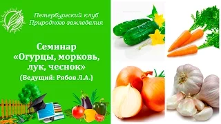 Семинар «Огурцы, морковь, лук, чеснок»