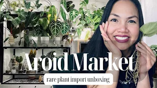 💚 Rare Plant Import Unboxing from AROID MARKET | How I prep for acclimation | Repot with me! 💚