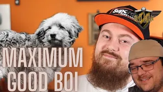 We Don't Deserve Dogs - Absolute Mad Lads - Rags The War Dog by Count Dankula - Reaction