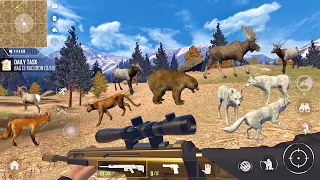 Omg😱Hunting 17 Animals | Free hunt | American Marksman