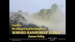 Borneo Rainforest Lodge - Shangri-La of the Rainforests