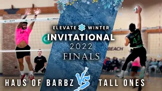 Open/AA Finals : Haus of Barbz vs Tall Ones (Elevate Winter Invitational 2022)