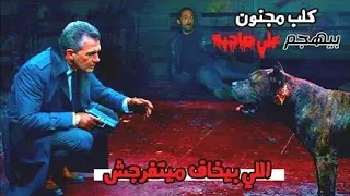 راجل مهووس بمصارعة الكلاب بس جالو الكلب اللي هيظبطو ملخص فيلم Bullet Head